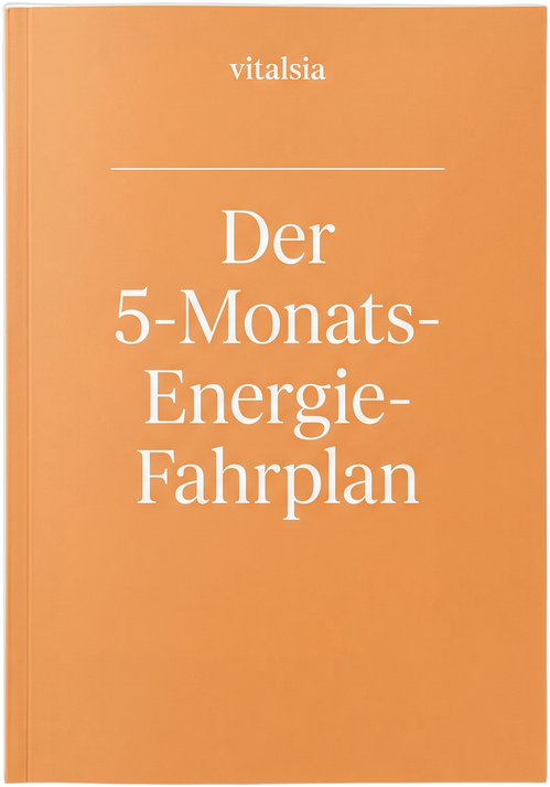 Der 5-Monats-Energie-Fahrplan, Titelseite